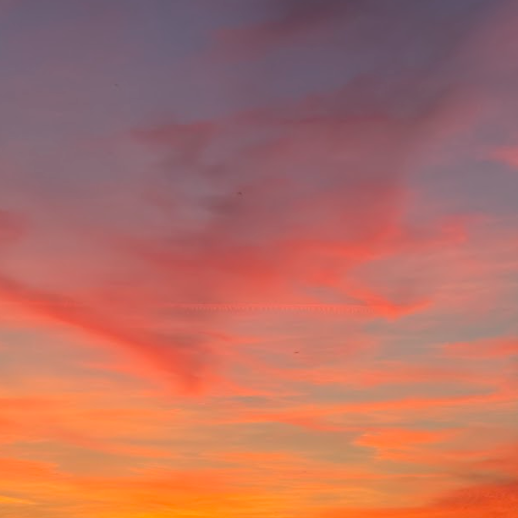 Sweet Potatoe Gnocchi with seasonal Pesto