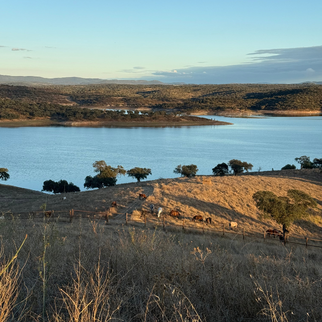 Raviolo with Pumpkin and Ricotta