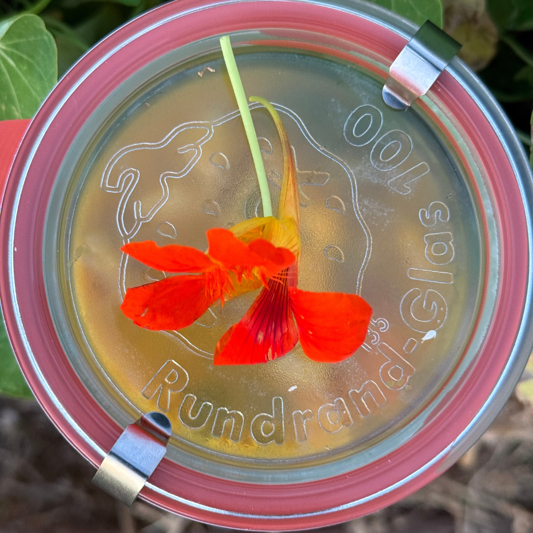 Vegan Curry with Seasonal Vegetables