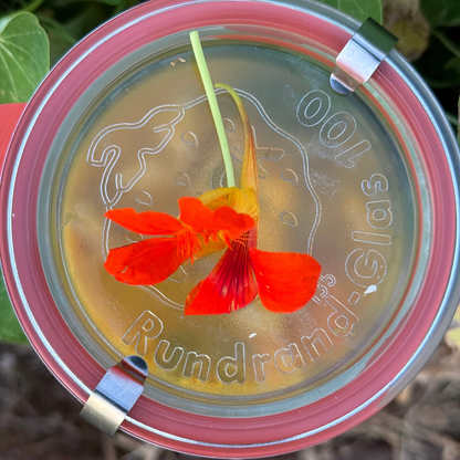 Vegan Curry with Seasonal Vegetables