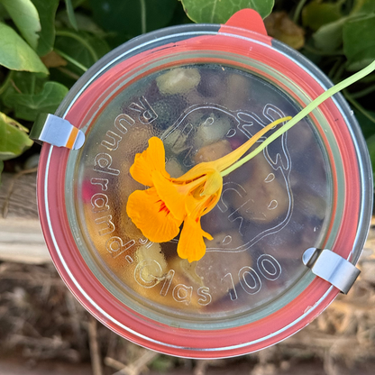 Pumpkin Gnocchi with Ox Tongue
