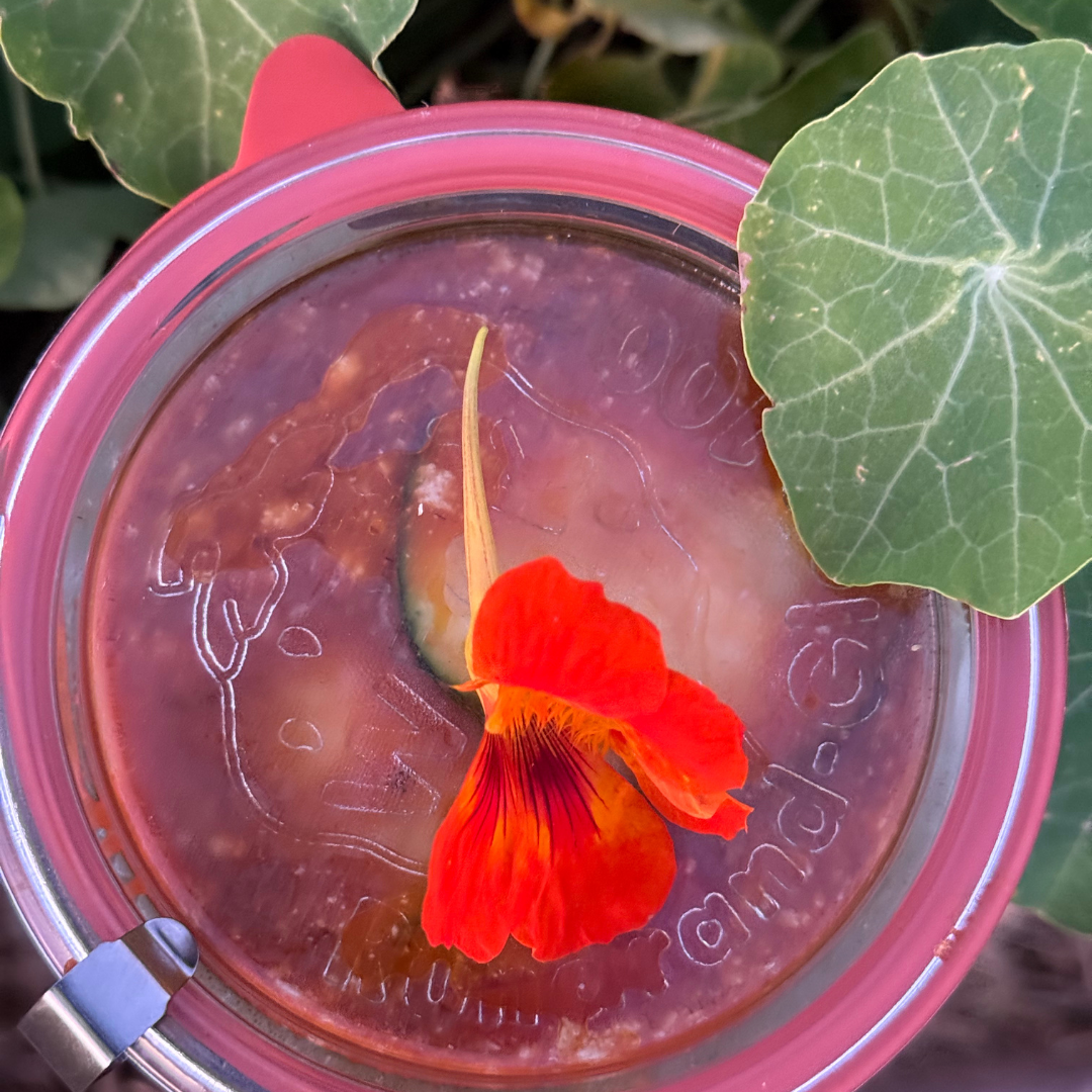 Vegetable Ratatouille with Goat Cheese