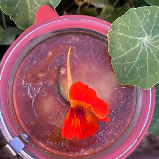 Vegetable Ratatouille with Goat Cheese