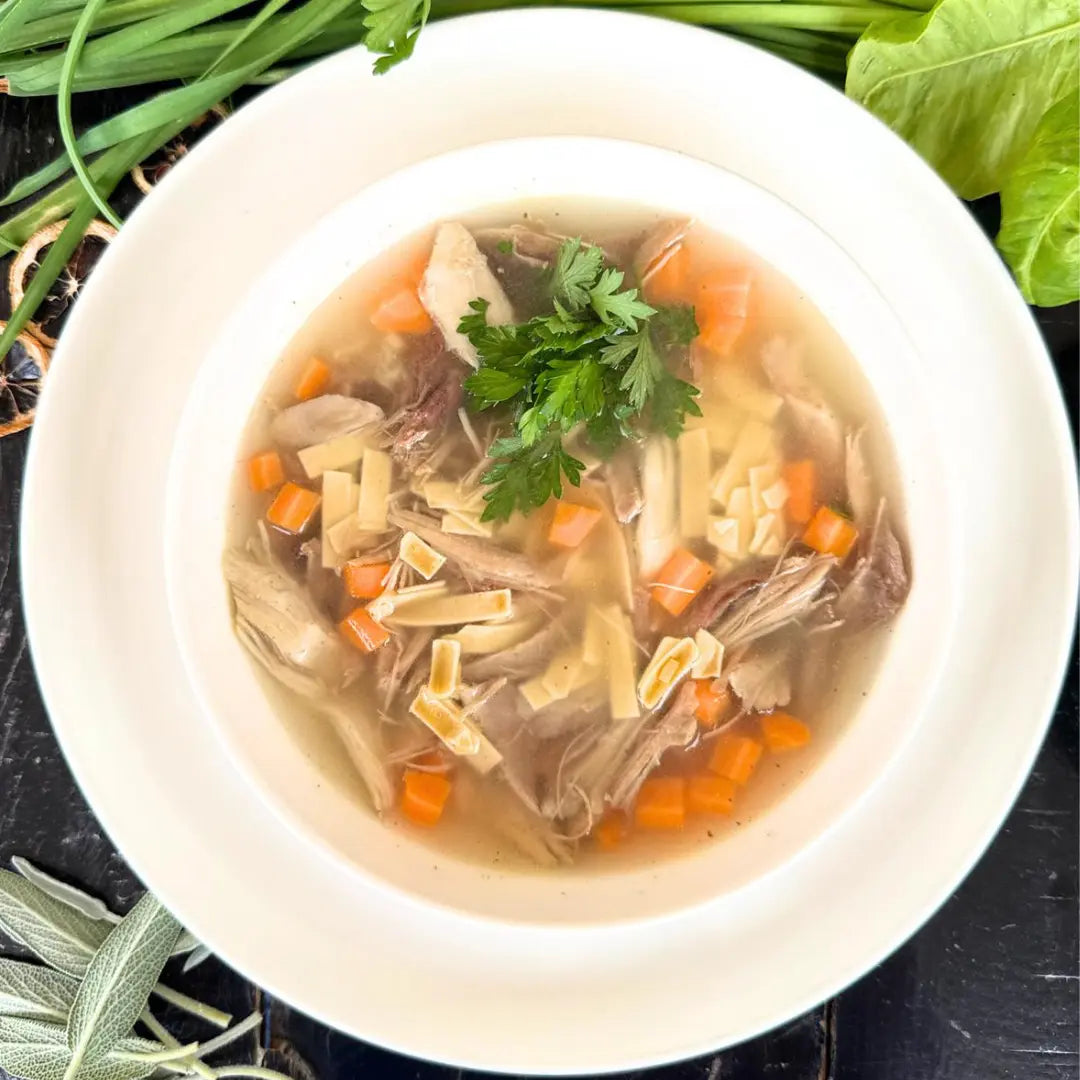 Canja de galinha com legumes e massa fresca.