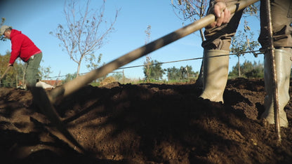 Cabaz de Natal Paisagindo