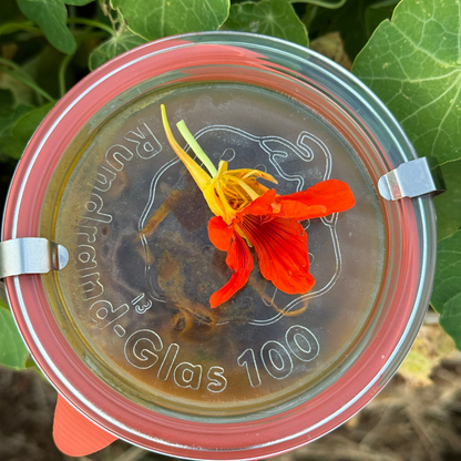 Pulled Beef served with Grilled Seasonal Vegetables